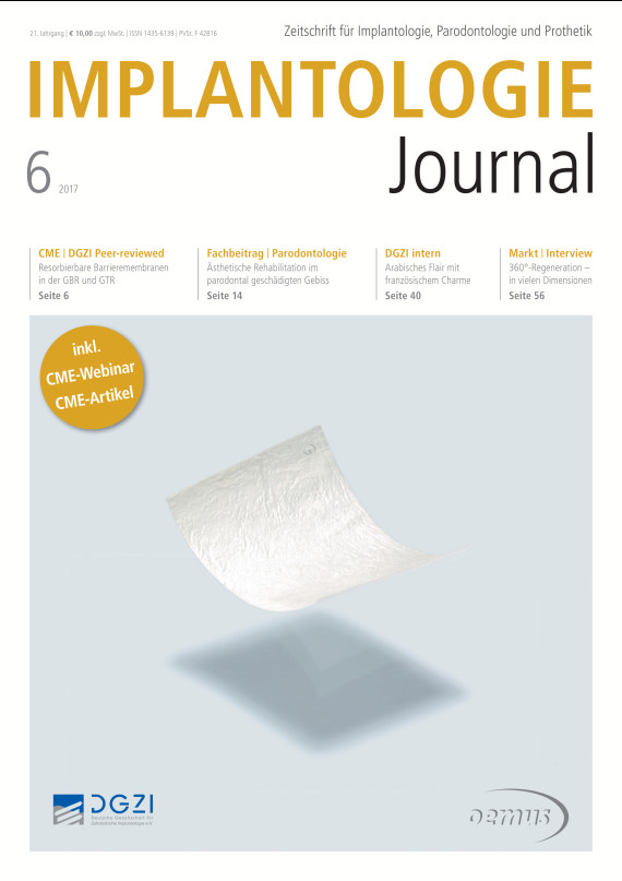 Cover Image for Issue