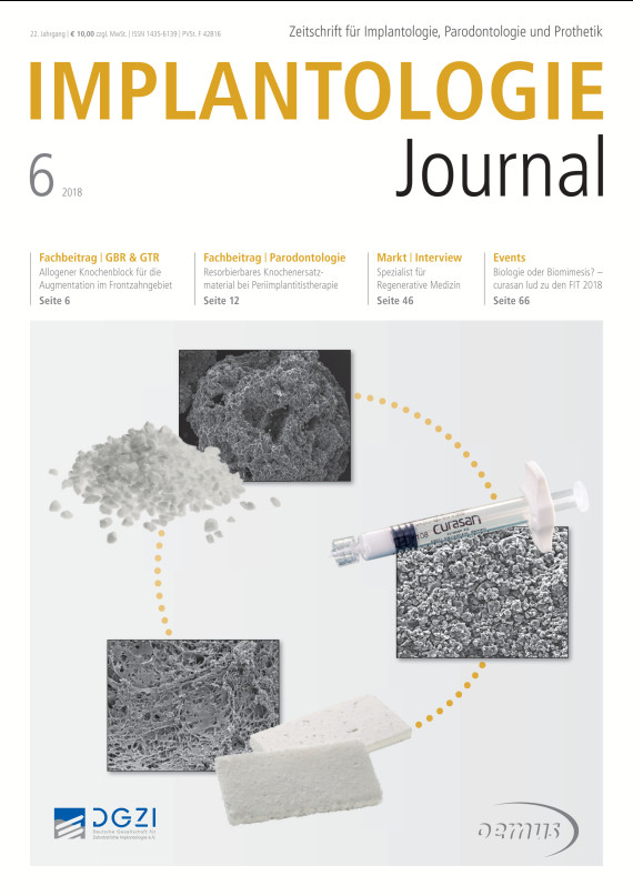 Cover Image for Issue