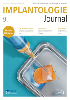 Cover Image for Issue