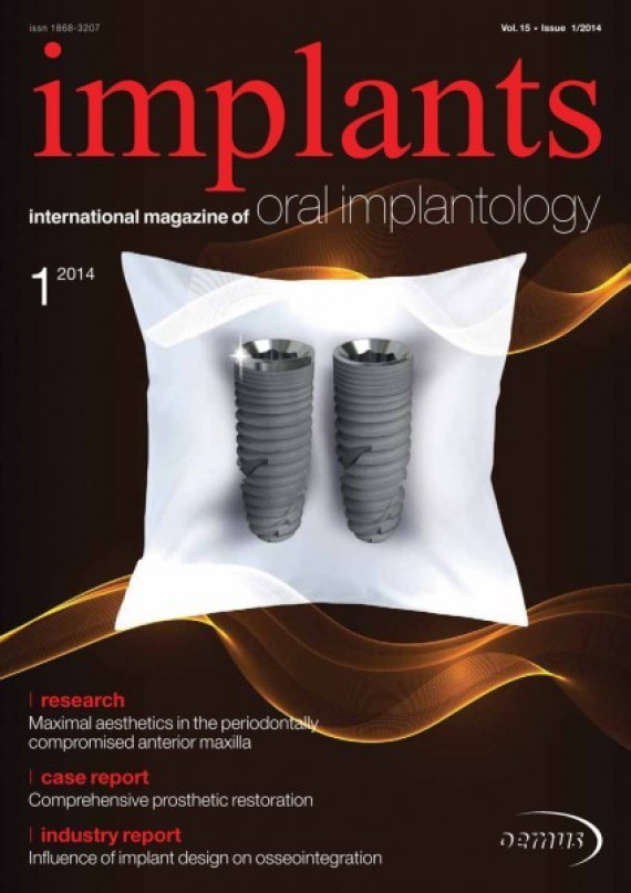 Cover Image for Issue