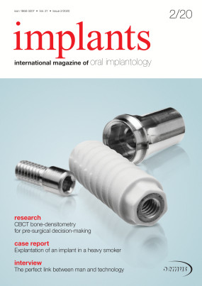 Cover Image for Issue