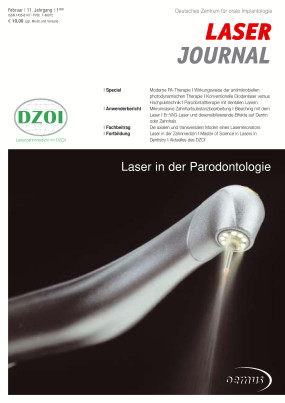 Cover Image for Issue