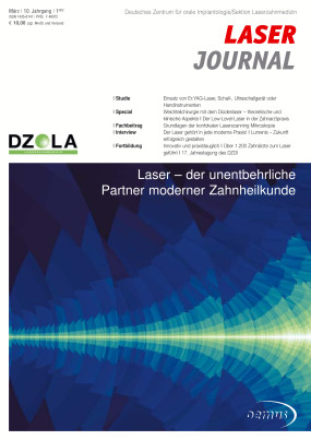 Cover Image for Issue