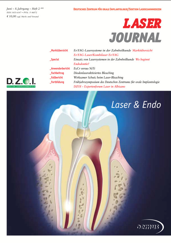 Cover Image for Issue