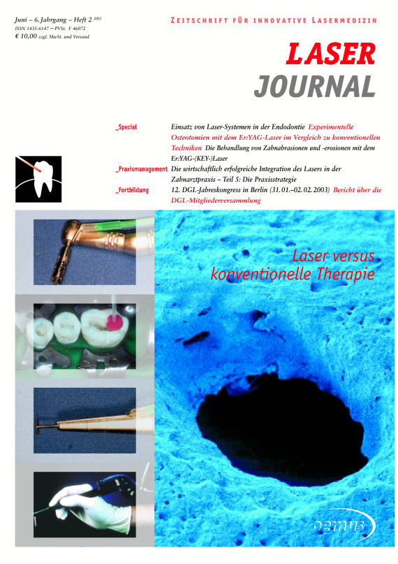 Cover Image for Issue