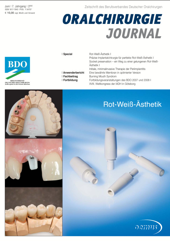 Cover Image for Issue