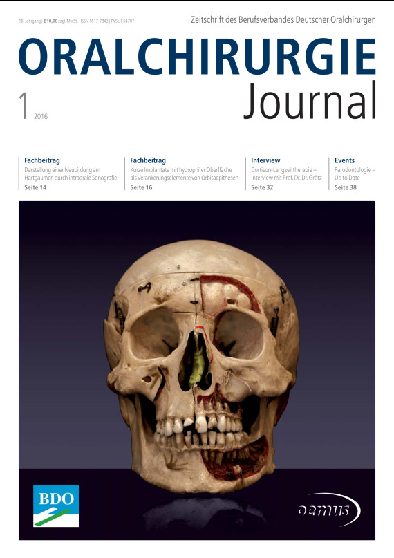 Cover Image for Issue