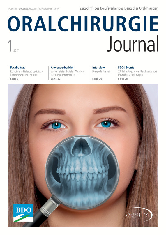 Cover Image for Issue