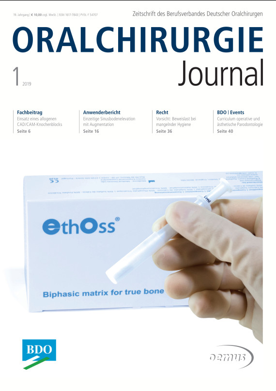 Cover Image for Issue