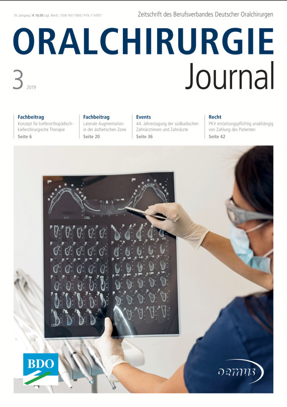 Cover Image for Issue