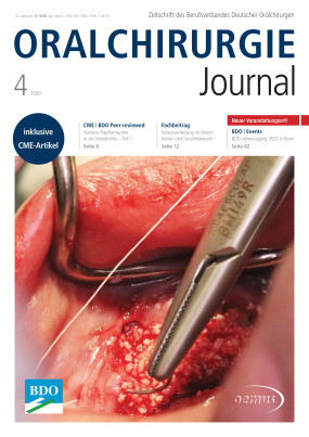 Cover Image for Issue