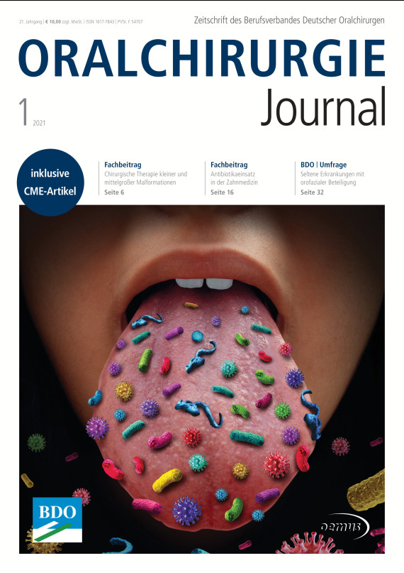 Cover Image for Issue