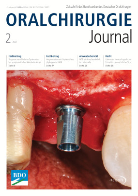 Cover Image for Issue