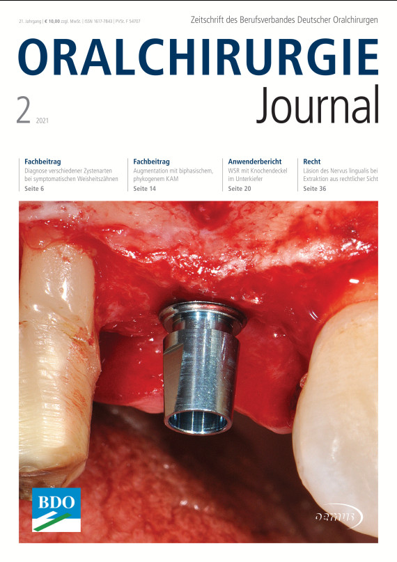 Cover Image for Issue