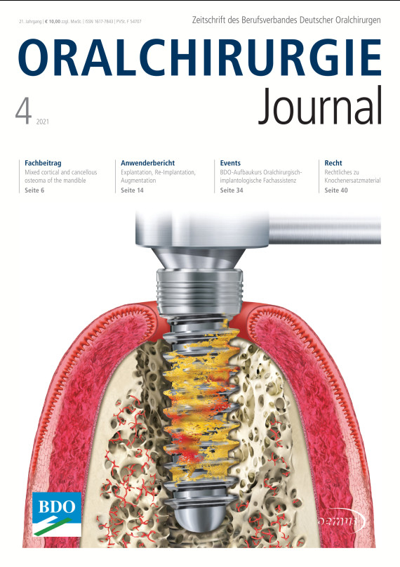 Cover Image for Issue