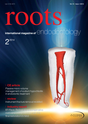 Cover Image for Issue