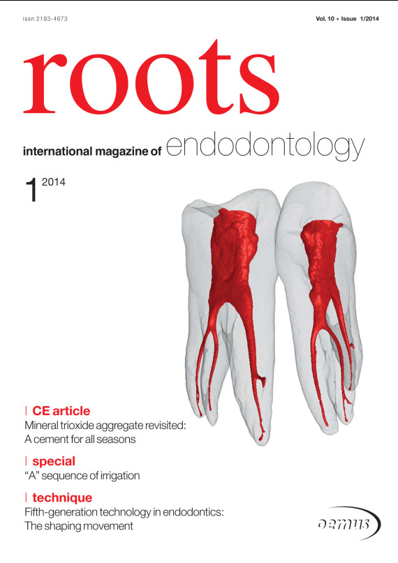 Cover Image for Issue