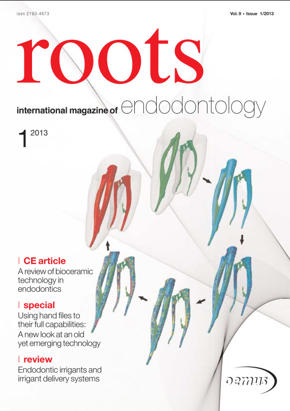 Cover Image for Issue