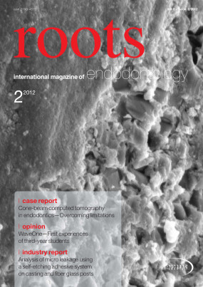 Cover Image for Issue