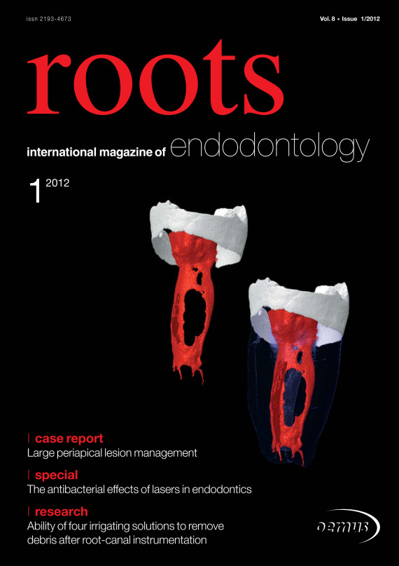 Cover Image for Issue