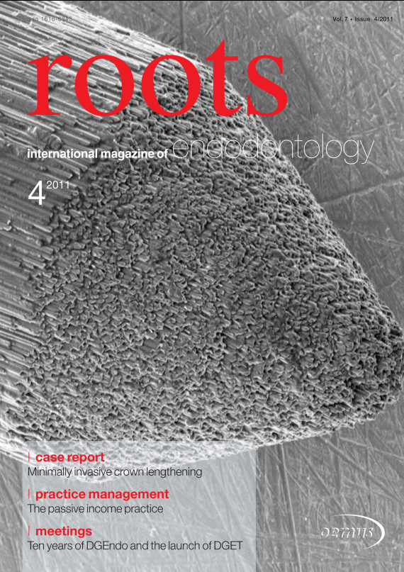 Cover Image for Issue