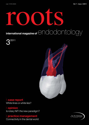 Cover Image for Issue