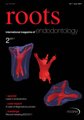 Cover Image for Issue