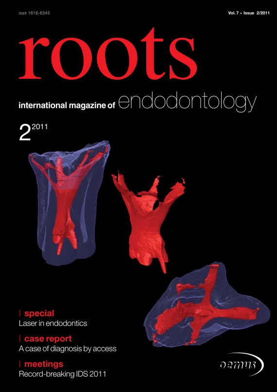 Cover Image for Issue