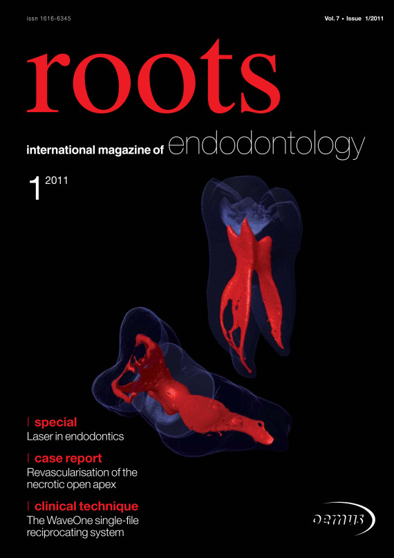Cover Image for Issue