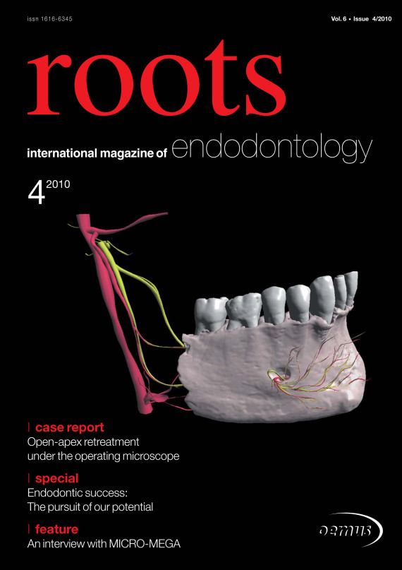 Cover Image for Issue