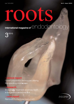 Cover Image for Issue