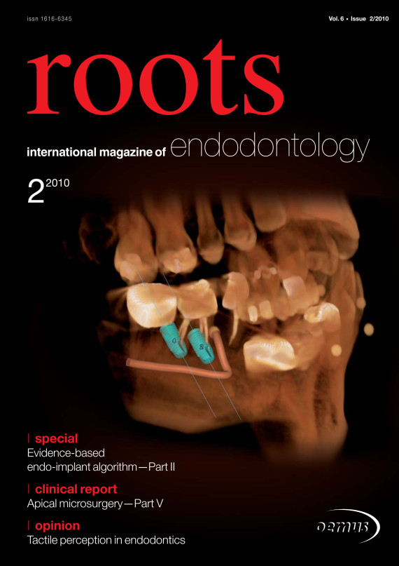 Cover Image for Issue