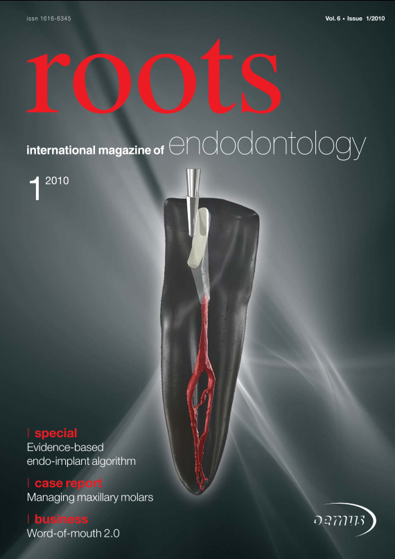 Cover Image for Issue
