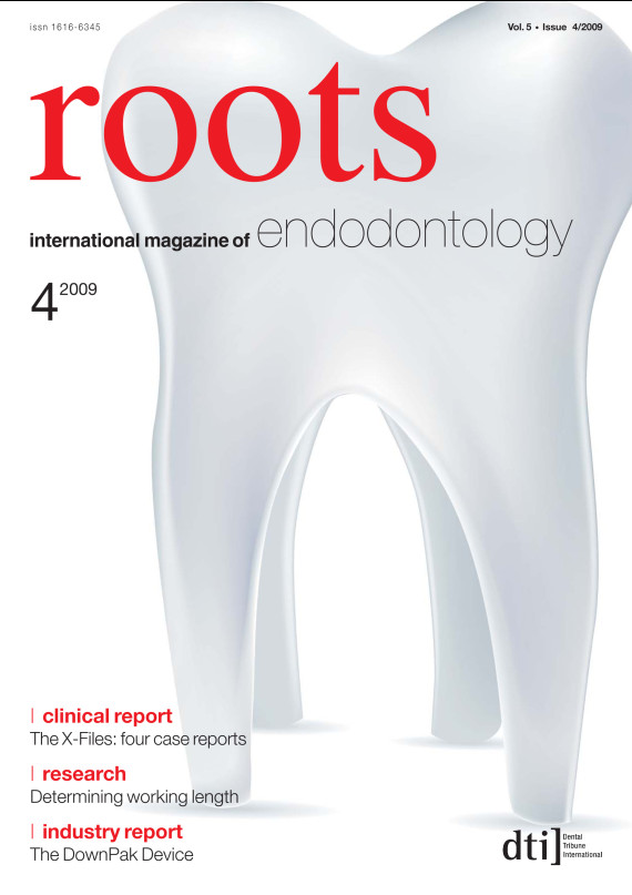 Cover Image for Issue
