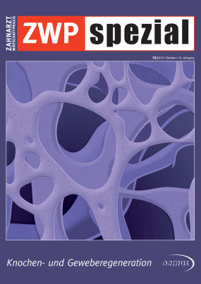 Cover Image for Issue