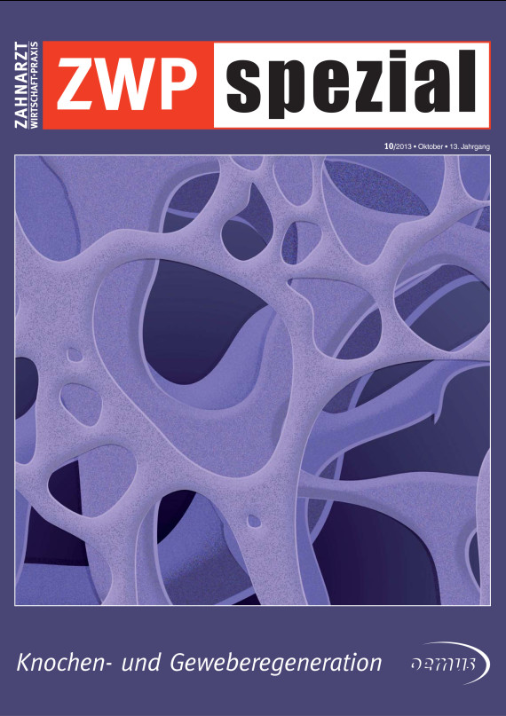 Cover Image for Issue
