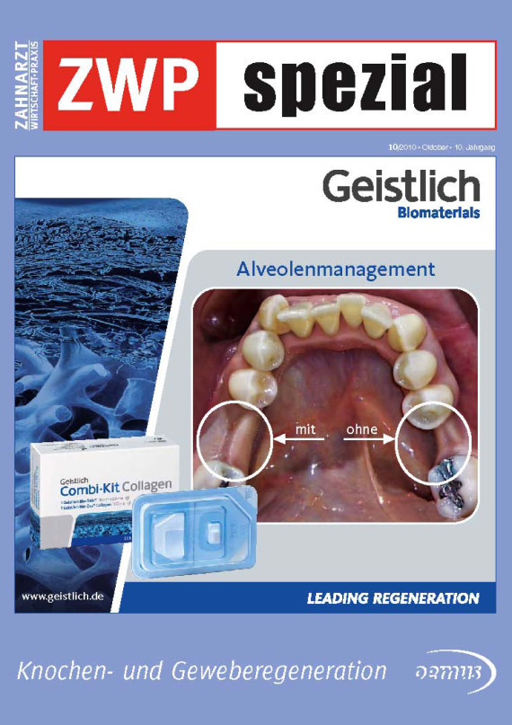 Cover Image for Issue