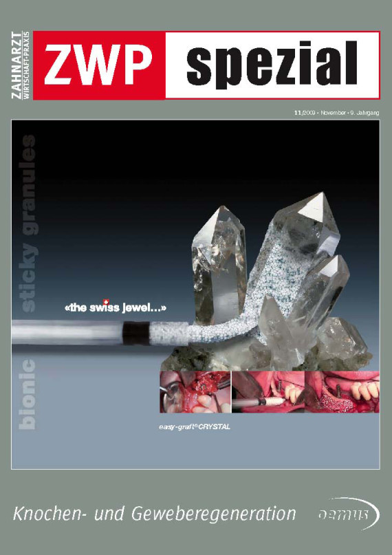 Cover Image for Issue