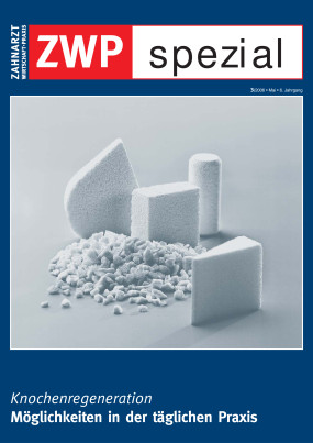 Cover Image for Issue