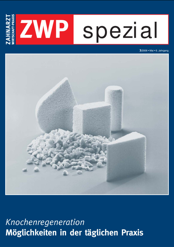 Cover Image for Issue
