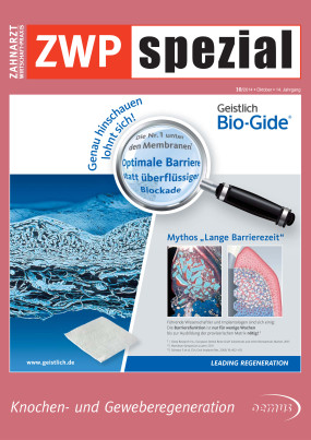 Cover Image for Issue