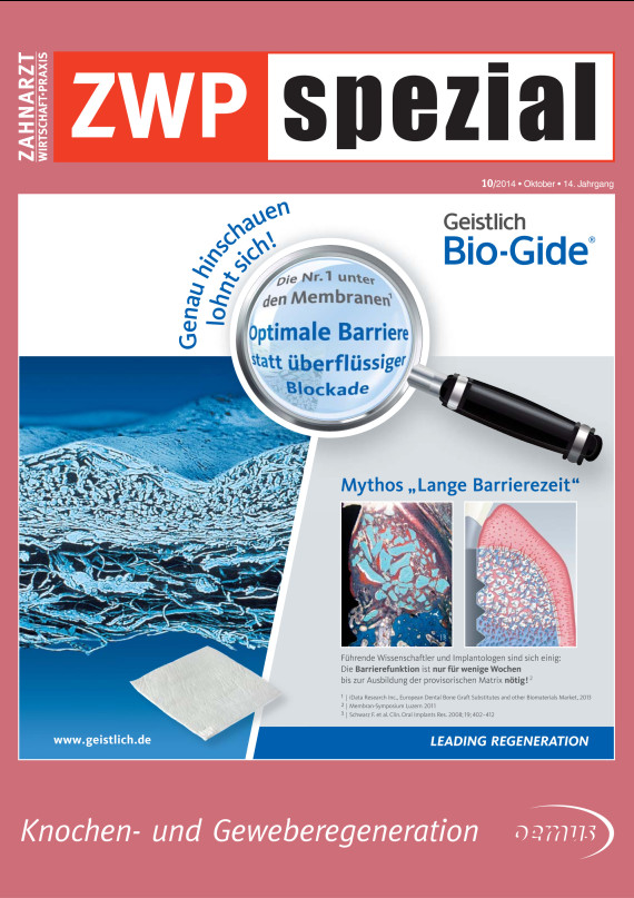 Cover Image for Issue