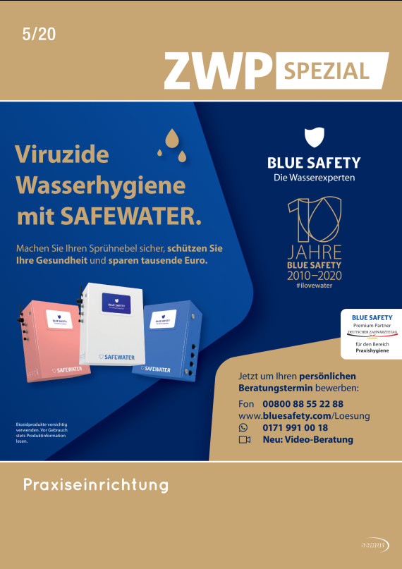 Cover Image for Issue