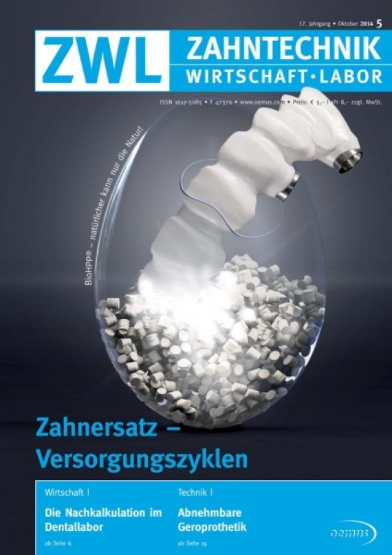 Cover Image for Issue