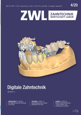 Cover Image for Issue