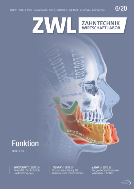 Cover Image for Issue