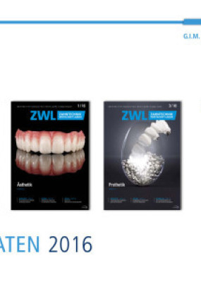 Cover Image for Issue