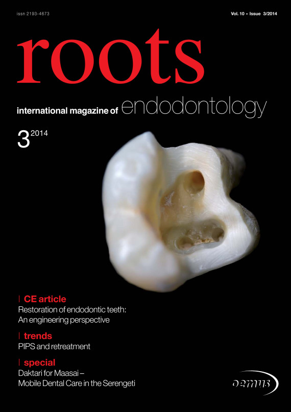 Cover Image for Issue