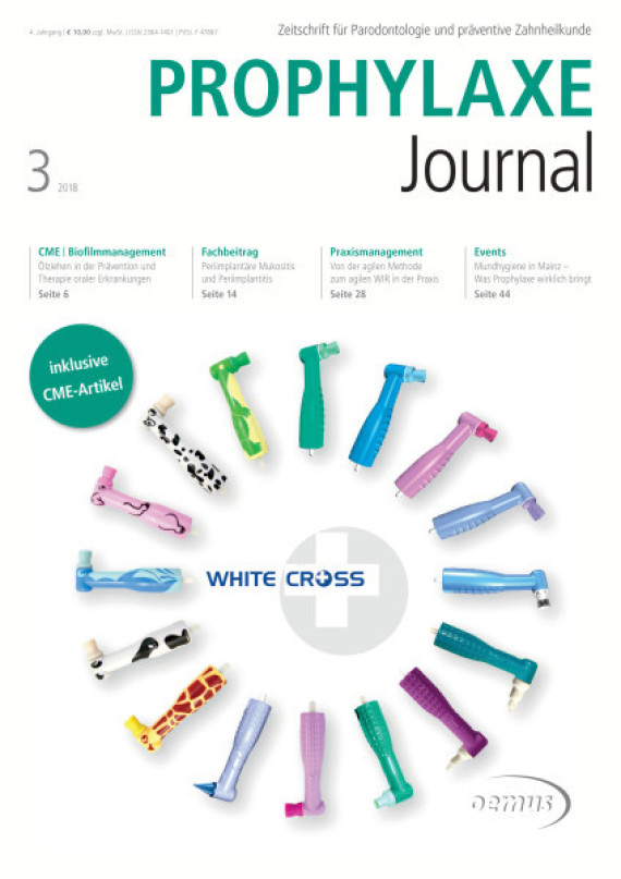 Cover Image for Issue