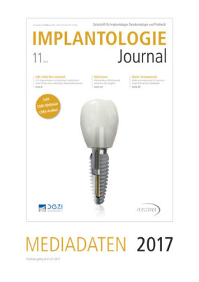 Cover Image for Issue